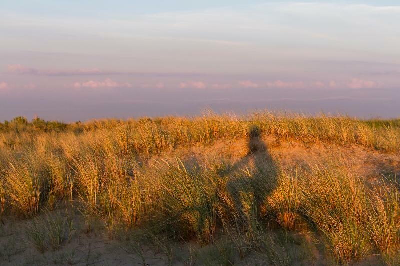Westcord Hotel De Wadden Vlieland Kültér fotó